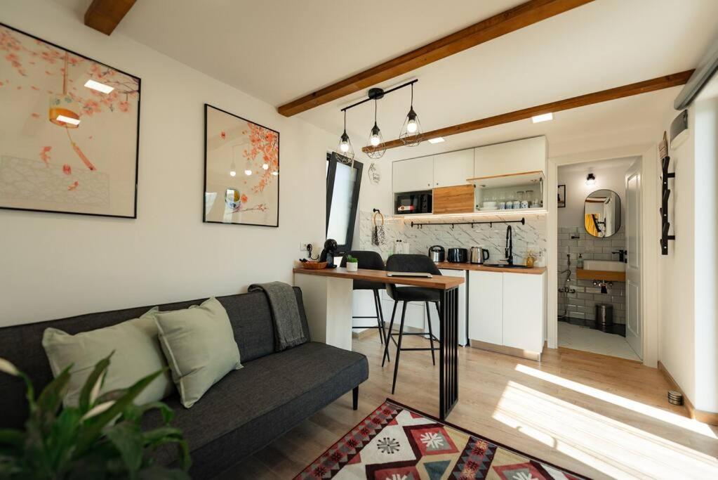 Вилла Cozy Cube - Tiny House Saru Dornei Экстерьер фото